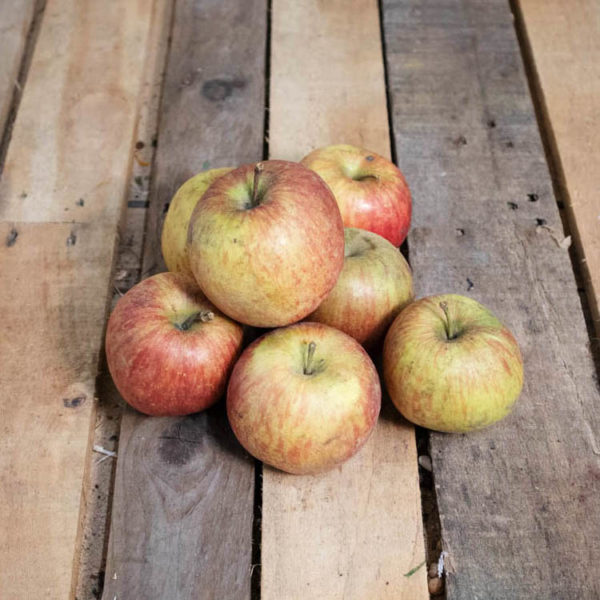 Pomme Fuji