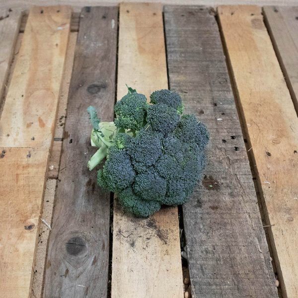 Brocoli