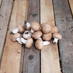 Champignons de Paris bio