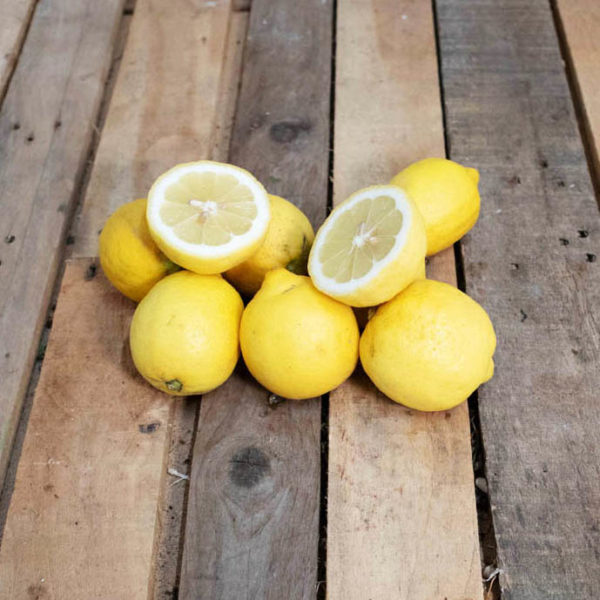 Citron jaune x4