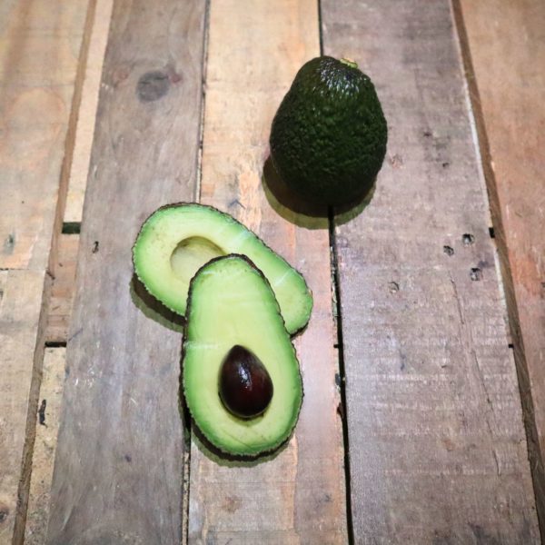 Avocat de Corse x1