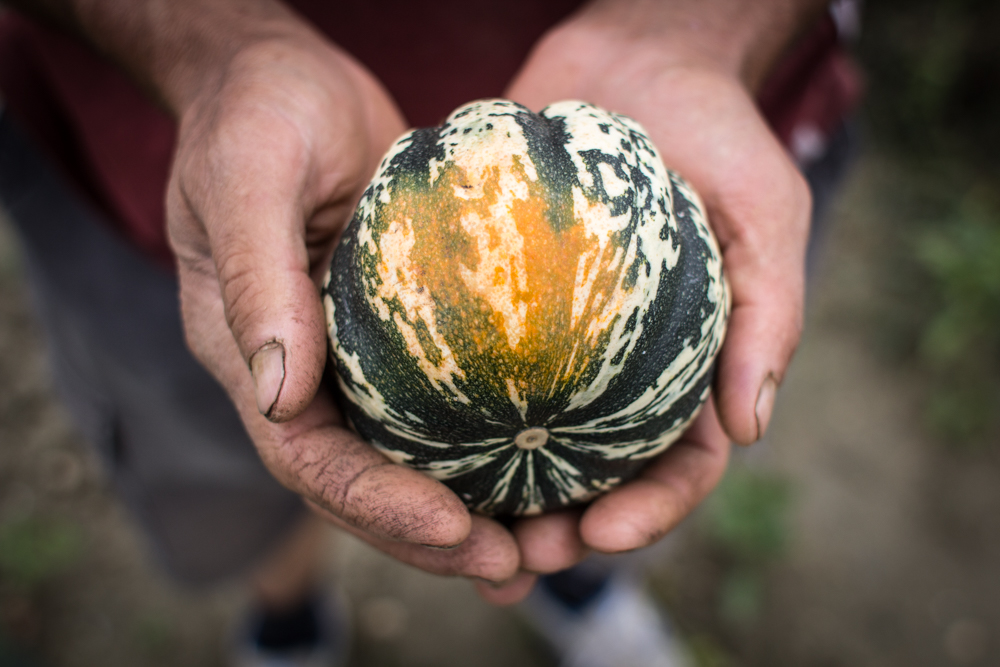 Alimentation responsable