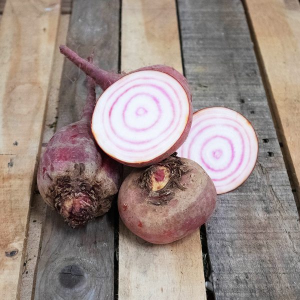 Betterave Chioggia crue