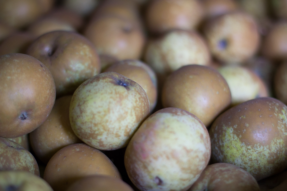 Les pommes à jus bio l'Arbre à Pommes 