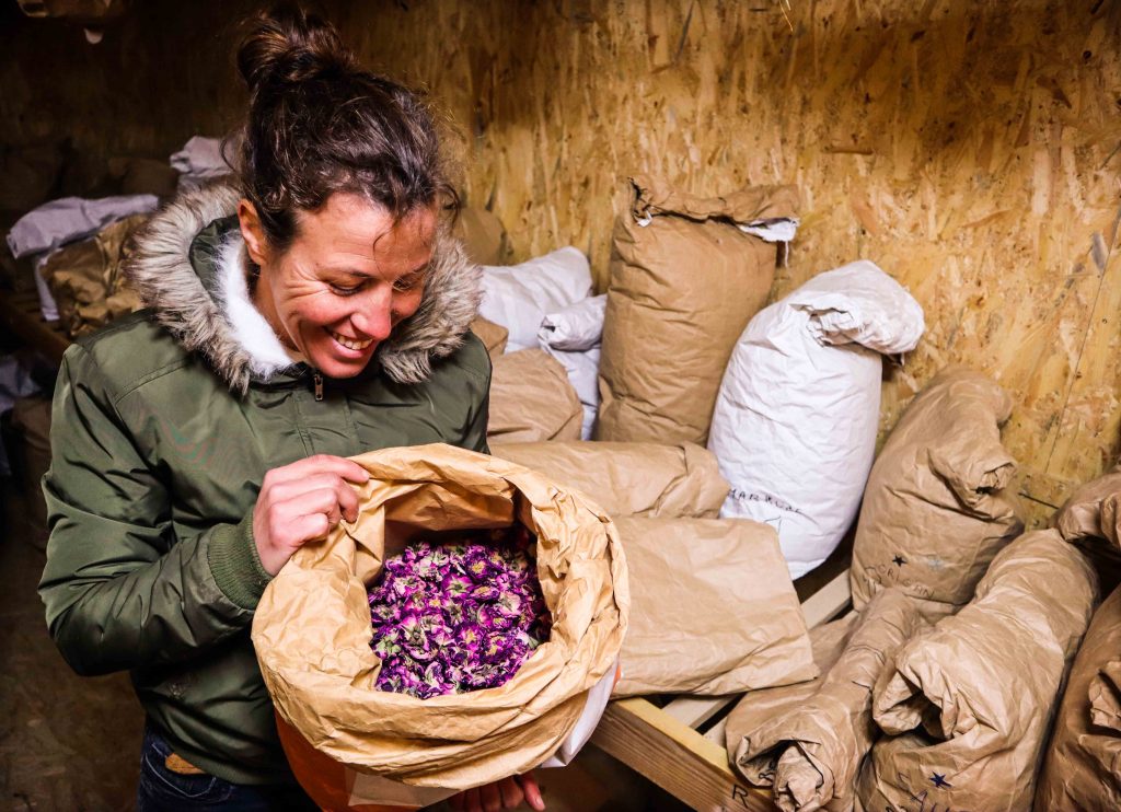 Productrice Marie BOUCHER - Livraison de fruits et légumes BIO - Graines d'ici - Nantes