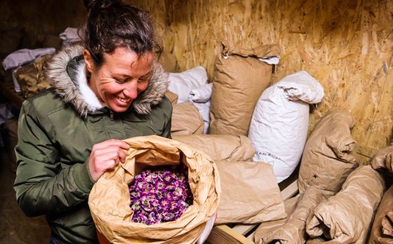 Productrice Marie BOUCHER - Livraison de fruits et légumes BIO - Graines d'ici - Nantes