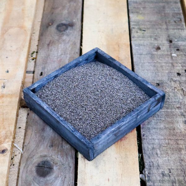 Graines de chia