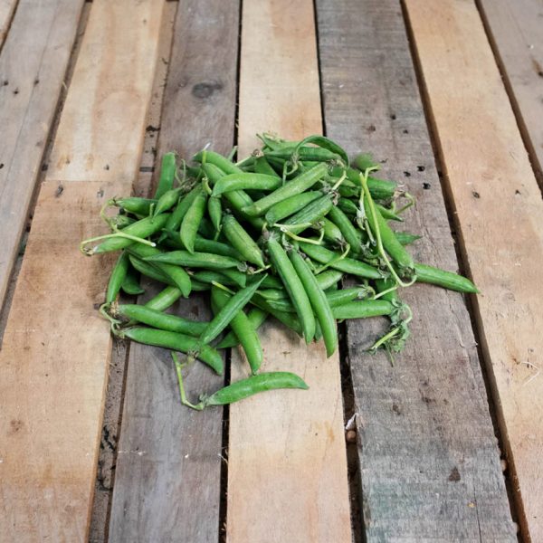 Petit pois
