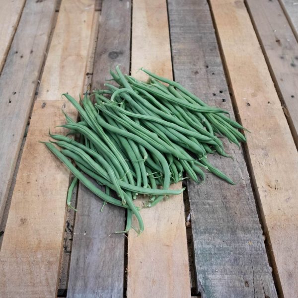 Haricot vert