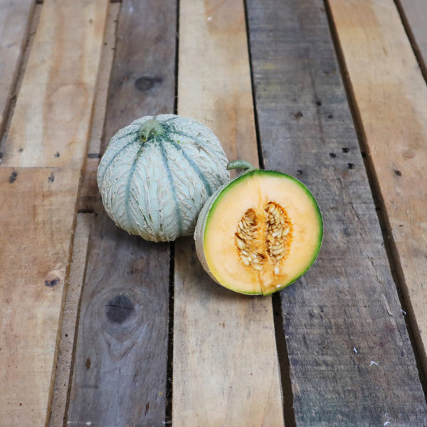 Melon x1