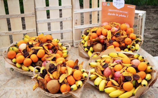 Livraison de corbeilles de fruits bio en entreprise à Nantes