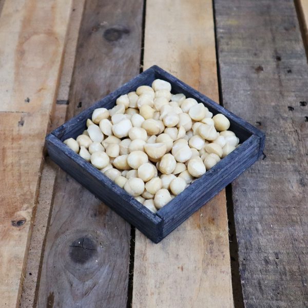 Noix de macadamia