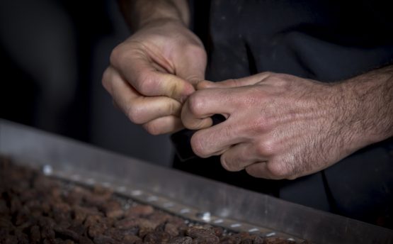 L'Attelier Artisan chocolatier Guérande- Livraison de fruits et légumes BIO - Graines d'ici - Nantes 44