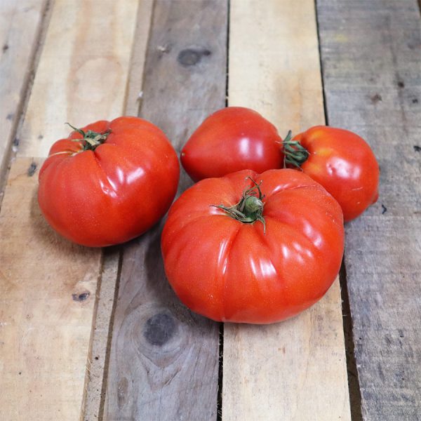 tomate cauralina ou coeuf de boeuf