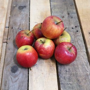 Pomme Xeleven
