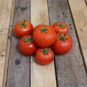tomate ronde