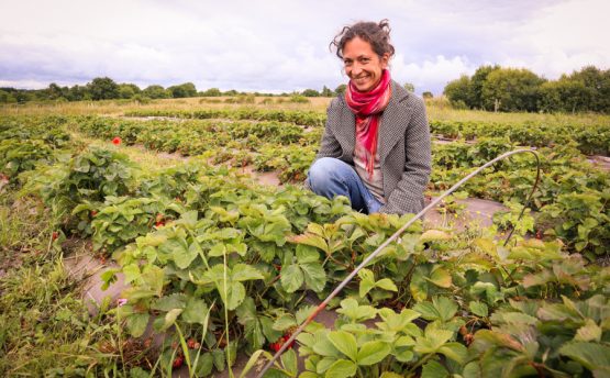 Les Cueillettes d'Annette - Livraison de fruits et légumes BIO - Graines d'ici - Nantes