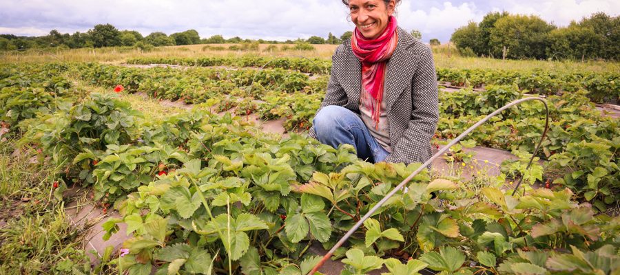 Les Cueillettes d'Annette - Livraison de fruits et légumes BIO - Graines d'ici - Nantes