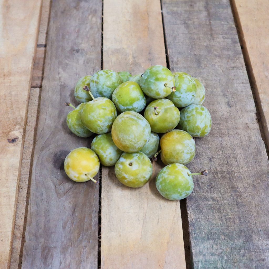 Prune Reineclaude "véritable" Graines d'ici