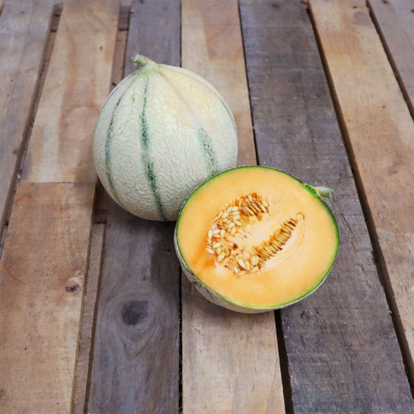 Melon "gros calibre"