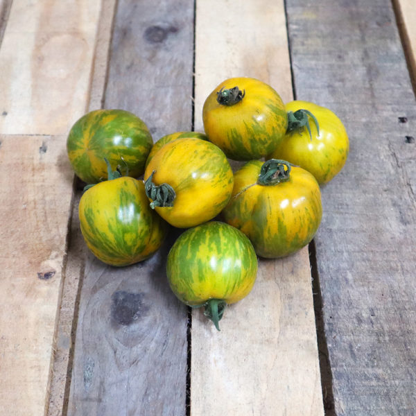 Tomate Green Zebra