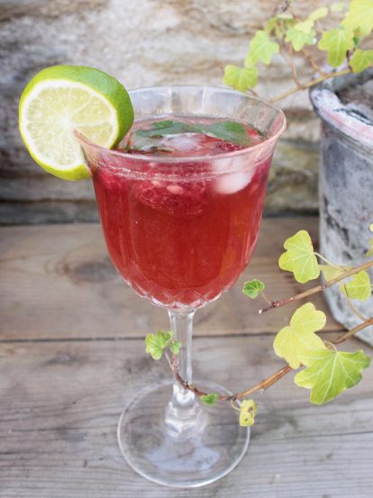 Recette jus de pommes pétillant framboise menthe et citron vert