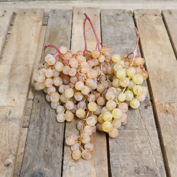 Raisin Danlas