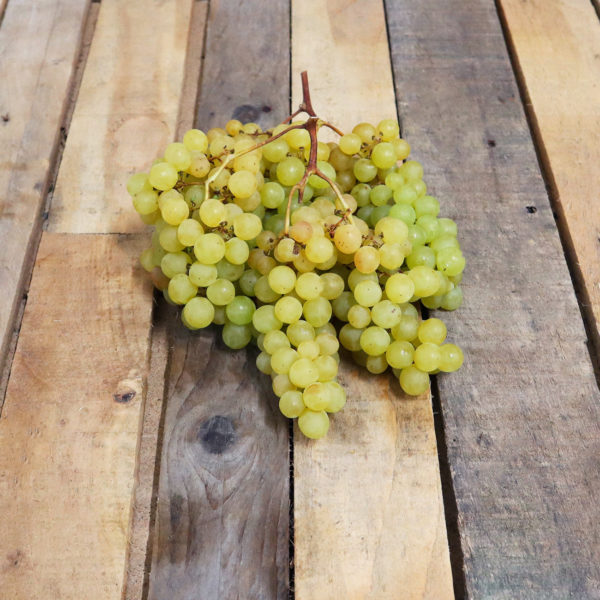 Raisin Exalta "sans pépins"