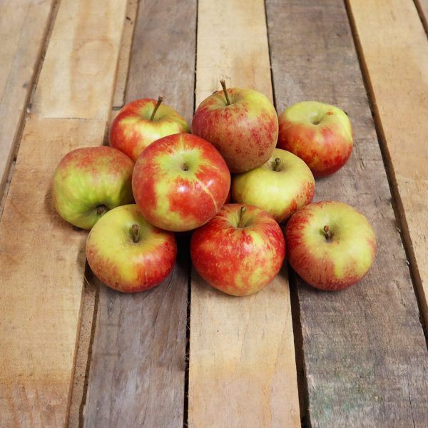 Pomme Elstar