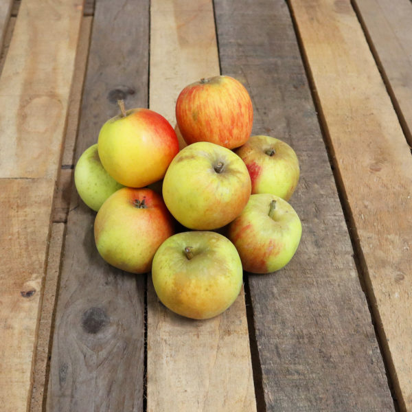 Pomme Reines des Reinettes