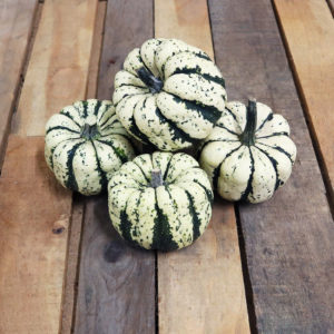 Courge Patidou