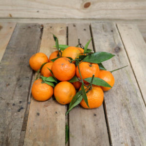 Clémentine de Corse x2kg