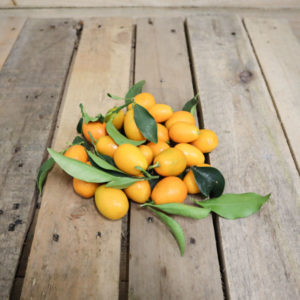 Kumquat
