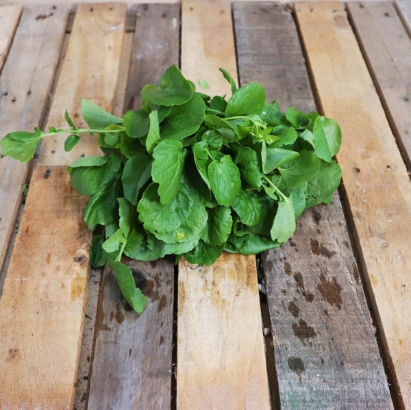 Salade / Cresson