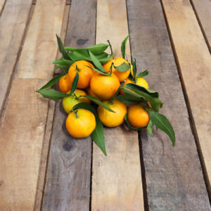 Clémentine de Corse