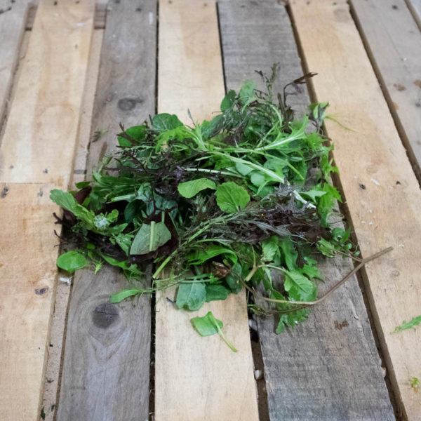 Salade / Mesclun