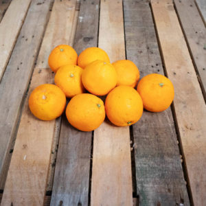Orange d'Italie x2kg