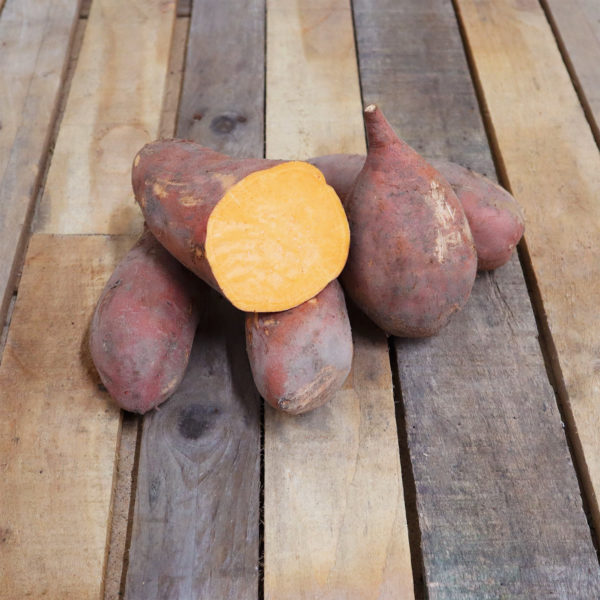 Patate douce "gros calibre"