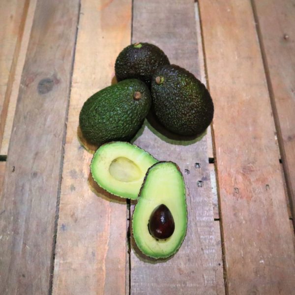 Avocat de Corse x3