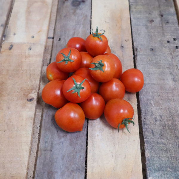 Tomate "cocktail"