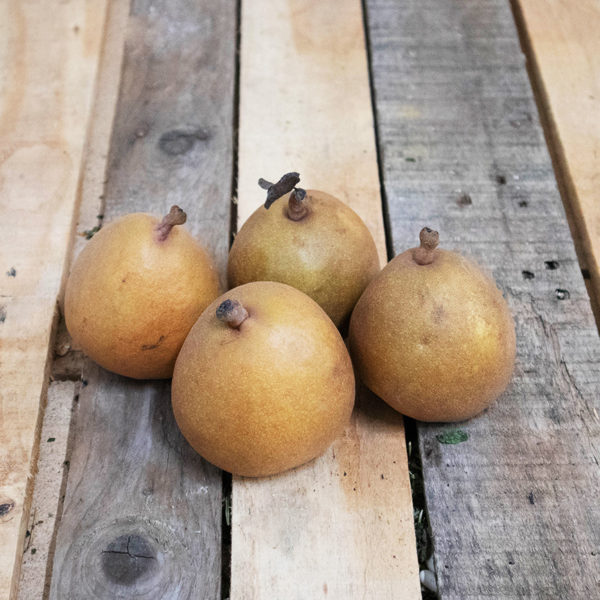 Poire Angelys