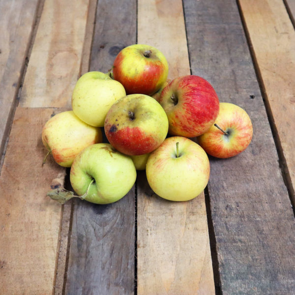 Pommes / mélange de 3kg