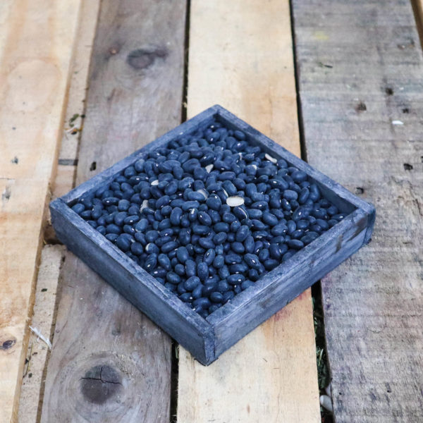 (06/23) Haricots noirs / 1kg