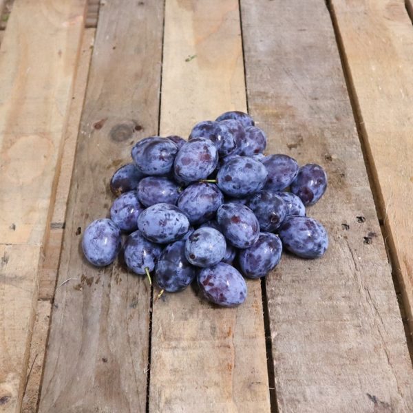 Prune Quetsche