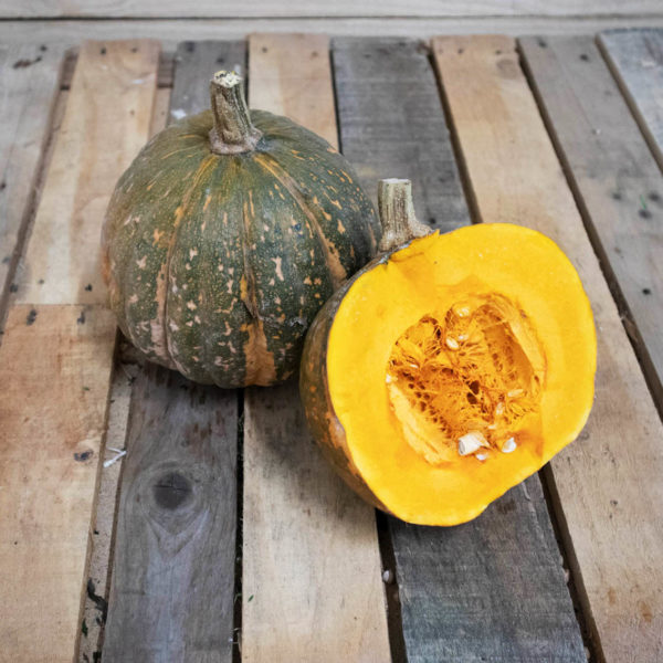 Courge Potimarron vert "gros calibre"