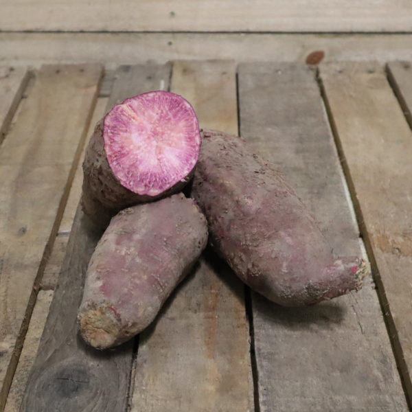 Patate douce Sakura