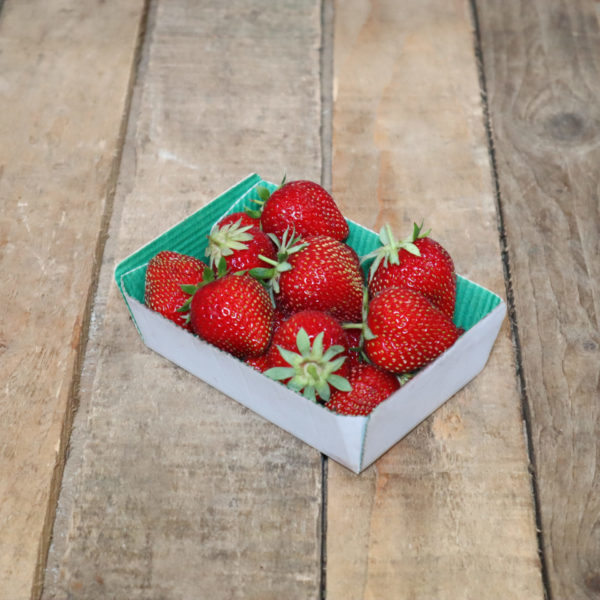 Fraise Charlotte