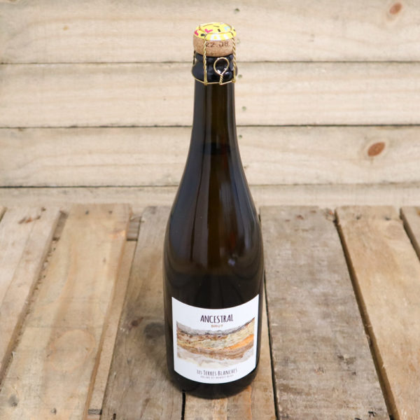 "Ancestral" 2021 - Vin blanc brut pétillant