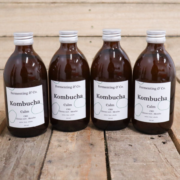 Kombucha "Calm" x4