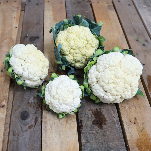 Chou-fleur "petit calibre"